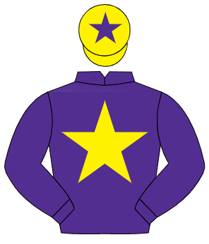 PURPLE, yellow star, yellow cap, purple star                                                                                                          