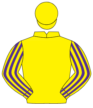 YELLOW, yellow & purple striped sleeves, yellow cap                                                                                                   