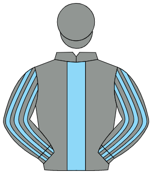 GREY, light blue panel, striped sleeves, grey cap