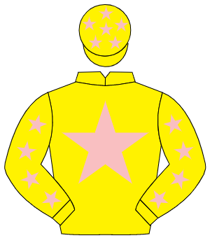 YELLOW, pink star, pink stars on sleeves, yellow cap, pink stars                                                                                      