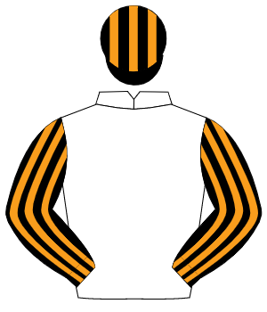 WHITE, black & orange striped sleeves & cap
