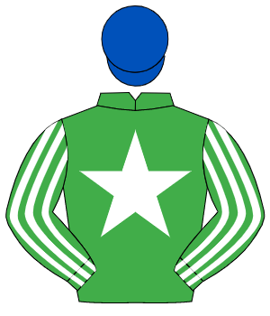 EMERALD GREEN, white star, striped sleeves, royal blue cap