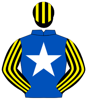 ROYAL BLUE, white star, black & yellow striped sleeves & cap