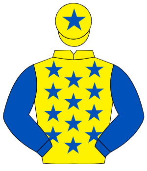 YELLOW, royal blue stars, royal blue sleeves, royal blue star on cap