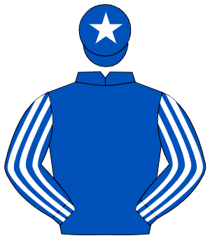 ROYAL BLUE, royal blue & white striped sleeves, white star on cap