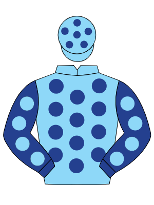 LIGHT BLUE, dark blue spots, dark blue sleeves, light blue spots