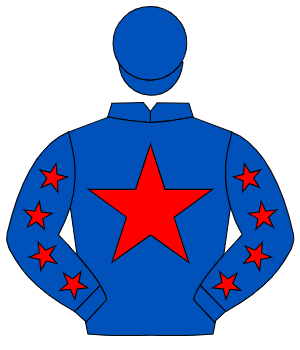 ROYAL BLUE, red star, red stars on sleeves, royal blue cap