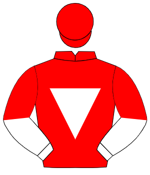 RED, white inverted triangle, white & red halved sleeves, red cap
