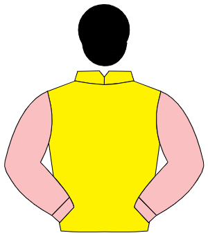 YELLOW, pink sleeves, black cap