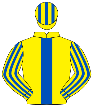 YELLOW, royal blue panel, striped sleeves & cap