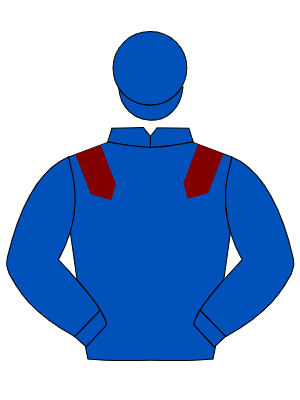ROYAL BLUE, maroon epaulets