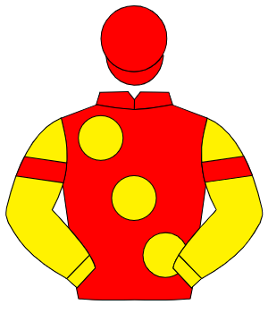 RED, large yellow spots, yellow sleeves, red armlet, red cap