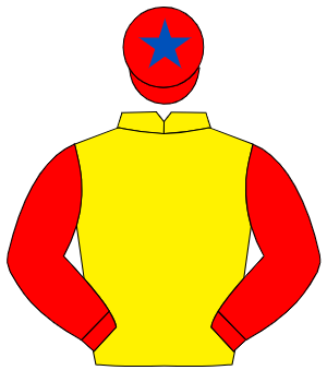 YELLOW, red sleeves, red cap, royal blue star
