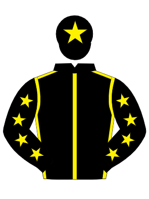 BLACK, yellow seams, black sleeves, yellow stars, black cap, yellow star