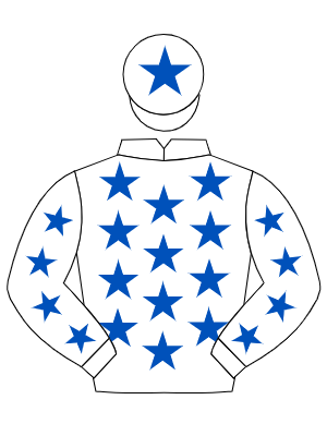 WHITE, royal blue stars, royal blue star on cap