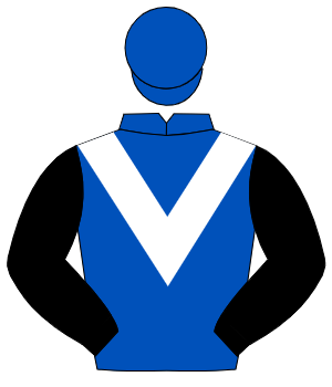 ROYAL BLUE, white chevron, black sleeves, royal blue cap