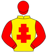 YELLOW, red cross of lorraine, sleeves & cap                                                                                                          