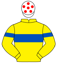 YELLOW, royal blue hoop on body & sleeves, white cap, red spots                                                                                       