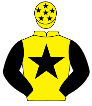 YELLOW, black star & sleeves, yellow cap, black stars                                                                                                 