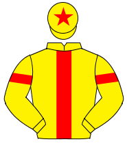 YELLOW, red panel, yellow sleeves, red armlet, yellow cap, red star                                                                                   