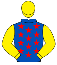 ROYAL BLUE, red stars, yellow sleeves & cap                                                                                                           