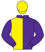 PURPLE & YELLOW HALVED, purple sleeves, yellow cap                                                                                                    