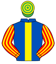 ROYAL BLUE, yellow panel, red & yellow striped sleeves, emerald green & yellow hooped cap                                                             