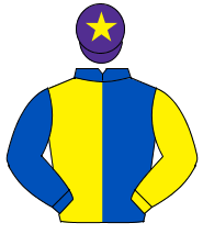 ROYAL BLUE & YELLOW HALVED, sleeves reversed, purple cap, yellow star                                                                                 