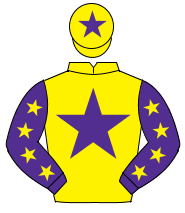 YELLOW, purple star, purple sleeves, yellow stars, yellow cap, purple star                                                                            