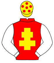 RED, yellow cross of lorraine, white sleeves, yellow cap, red spots                                                                                   