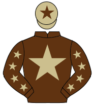 Brown, beige star, brown sleeves, beige stars, beige cap, brown star                                                                                  