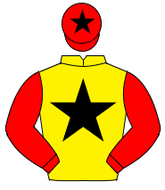 YELLOW, black star, red sleeves, red cap, black star                                                                                                  