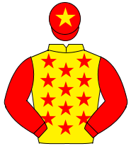 YELLOW, red stars, red sleeves, red cap, yellow star