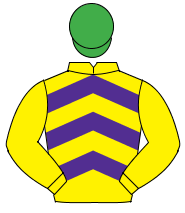 YELLOW & PURPLE CHEVRONS, yellow sleeves, emerald green cap                                                                                           