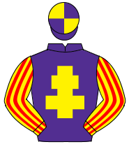 PURPLE, yellow cross of lorraine, yellow & red striped sleeves, purple & yellow quartered cap                                                         