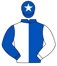 ROYAL BLUE & WHITE HALVED, sleeves reversed, white star on cap                                                                                        