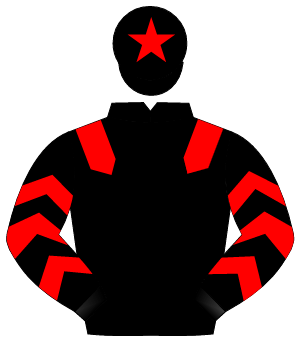 BLACK, red epaulettes, red chevrons on sleeves, red star on cap