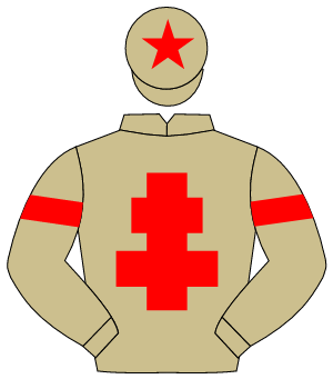 BEIGE, red cross of lorraine, red armlet, red star on cap