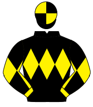BLACK, yellow triple diamond, yellow sleeves, black diabolo, black & yellow quartered cap                                                             