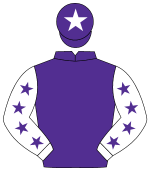 PURPLE, white sleeves, purple stars, purple cap, white star                                                                                           