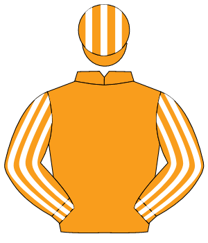ORANGE, orange & white striped sleeves, striped cap                                                                                                   