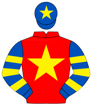 RED, yellow star, royal blue & yellow hooped sleeves, royal blue cap, yellow star                                                                     