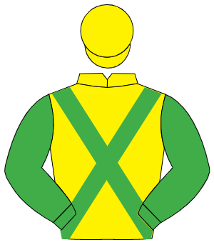 YELLOW, emerald green cross sashes & sleeves, yellow cap