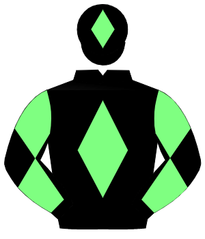 BLACK, light green diamond, diabolo on sleeves, light green diamond on cap                                                                            