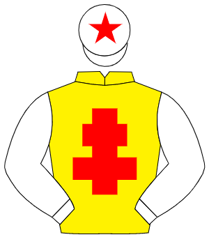 YELLOW, red cross of lorraine, white sleeves, white cap, red star                                                                                     