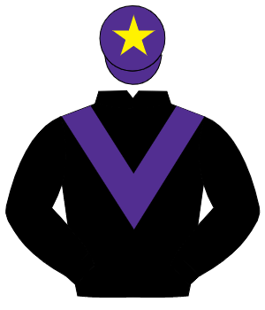 BLACK, purple chevron, purple cap, yellow star                                                                                                        