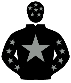 BLACK, grey star, grey stars on sleeves, black cap, grey stars