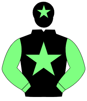 BLACK, light green star & sleeves, light green star on cap