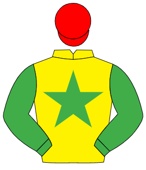 YELLOW, emerald green star & sleeves, red cap
