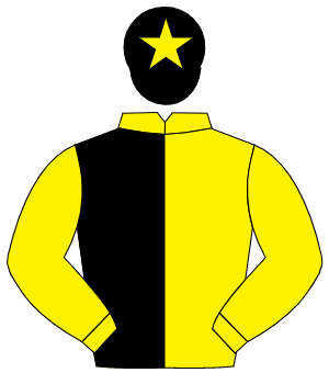 YELLOW & BLACK HALVED, yellow sleeves, black cap, yellow star